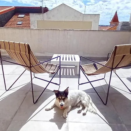 Figueira Penthouse By The Marina Apartment Figueira da Foz Exterior photo